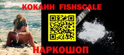 спиды Камышлов
