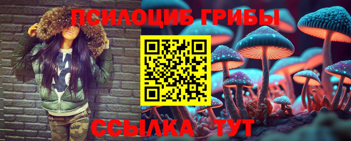 Малгобек  Галлюциногенные грибы MAGIC MUSHROOMS  Вход с VPN 